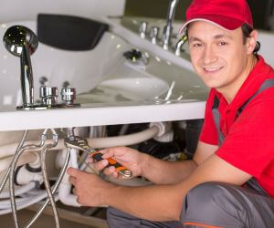 About Emergency plumbing pros Sawyer, MI